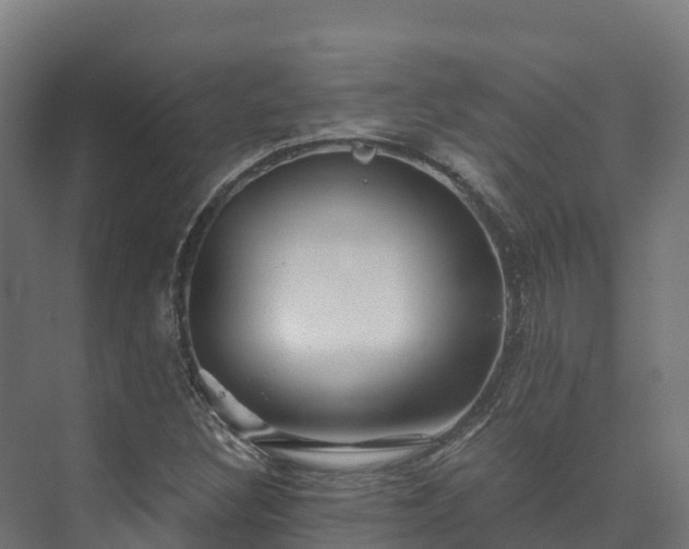 X0000073531308200608071137