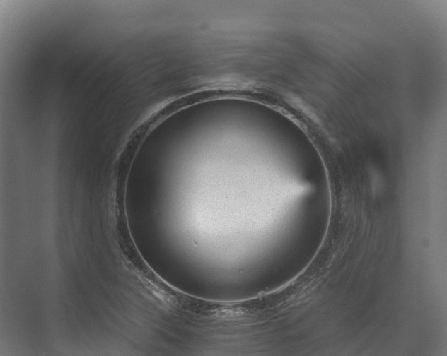 X0000073531315200608071137