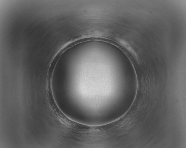 X0000073531316200608071137