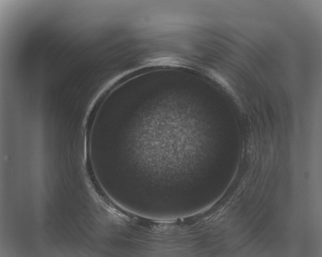 X0000073531323200608071137