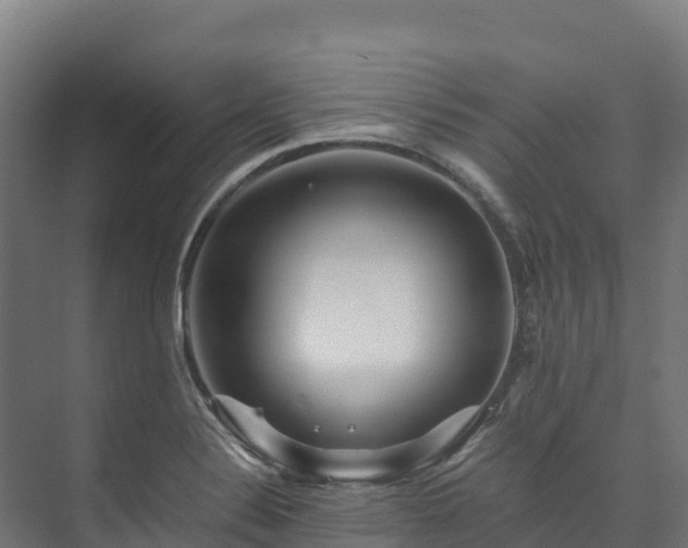 X0000073531324200608071137