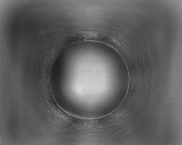 X0000073531345200608071137
