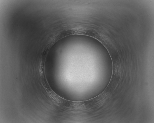 X0000073531346200608071137