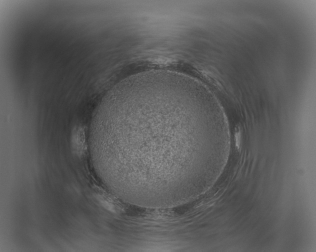 X0000073531347200608071137