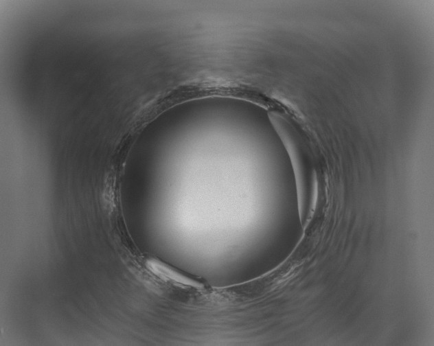 X0000073531348200608071137