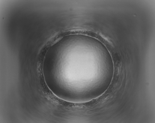 X0000073531351200608071137