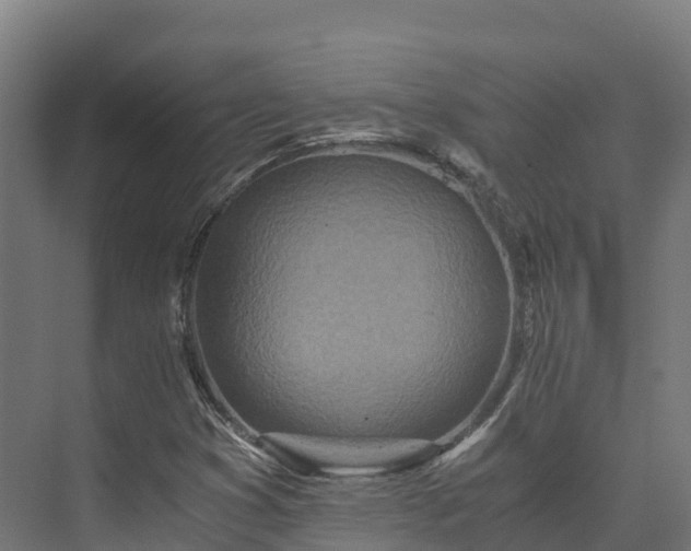 X0000073531353200608071137