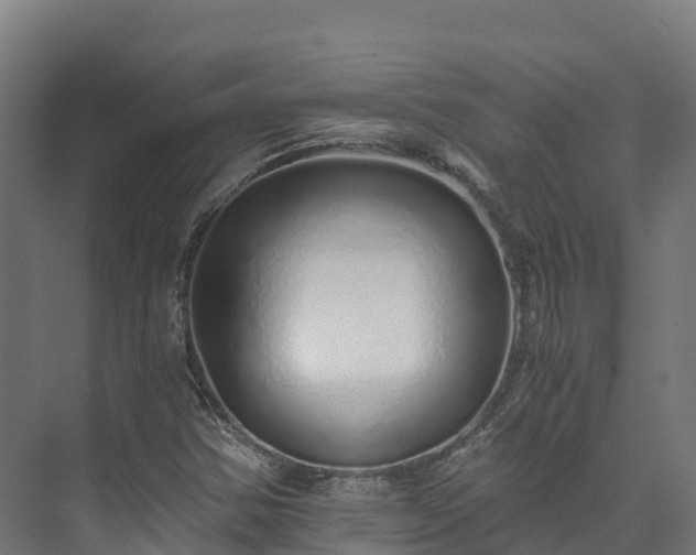 X0000073531354200608071137