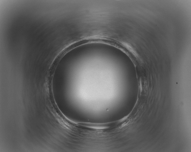 X0000073531356200608071137
