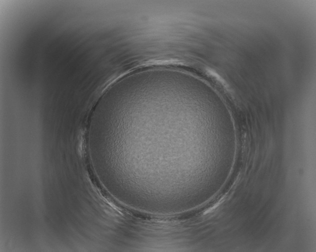 X0000073531361200608071137