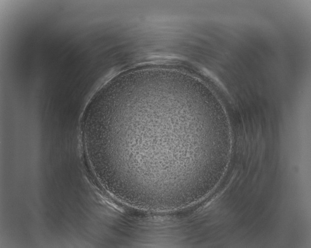 X0000073531362200608071137