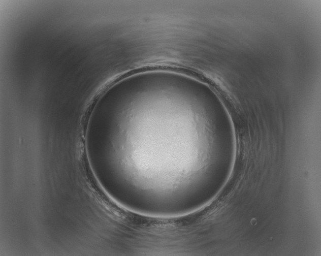 X0000073531363200608071137