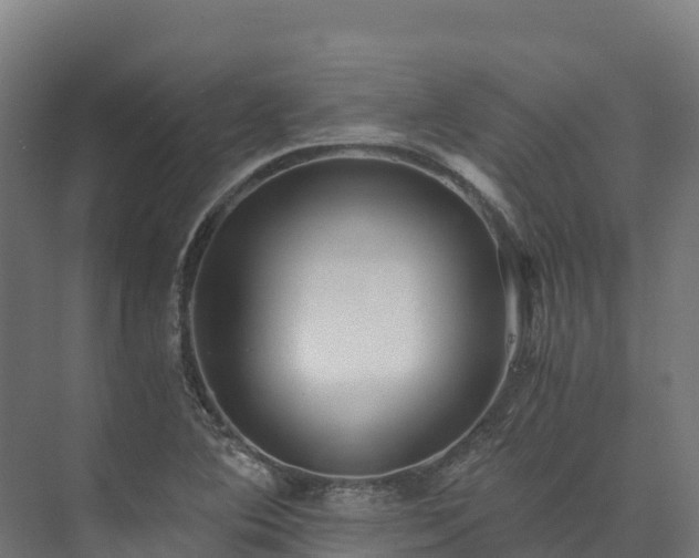 X0000073531364200608071136