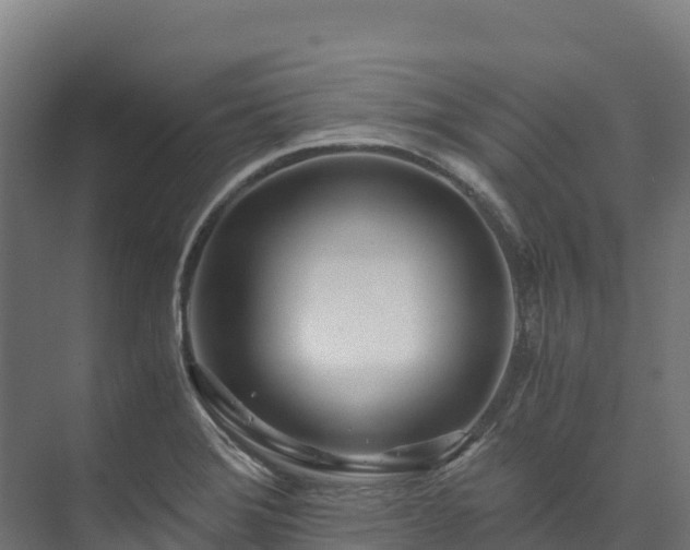 X0000073531372200608071136