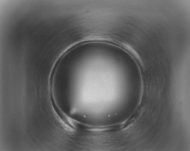 X0000073531380200608071136
