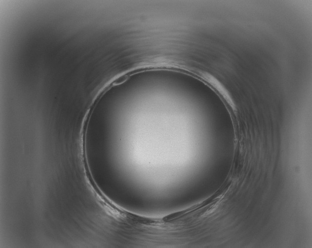 X0000073531388200608071136