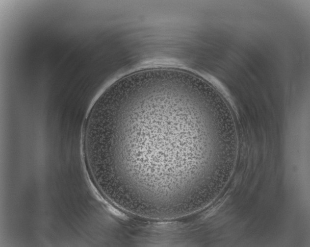 X0000073531390200608071136
