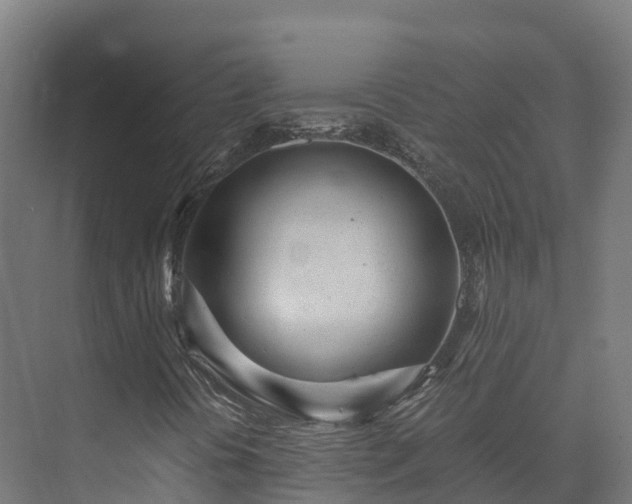 X0000073531394200608071135