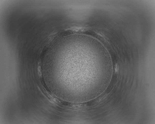 X0000073531396200608071135
