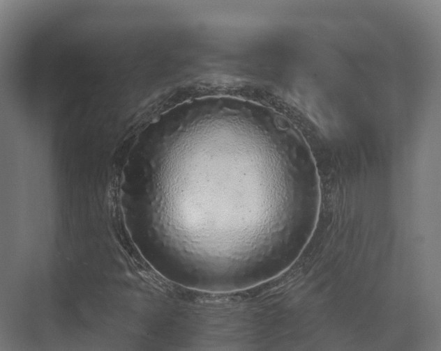 X0000073531397200608071135