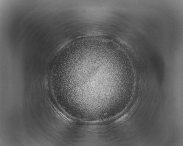 X0000073531401200608071135