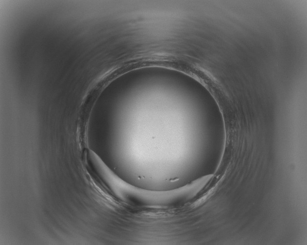 X0000073531402200608071135