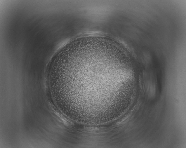 X0000073531405200608071135