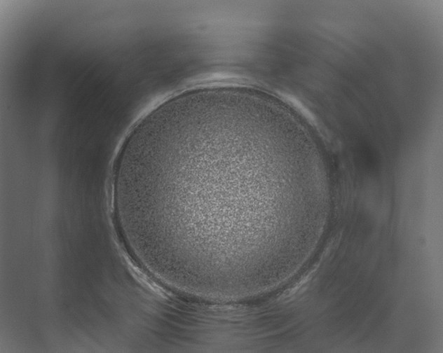 X0000073531413200608071136