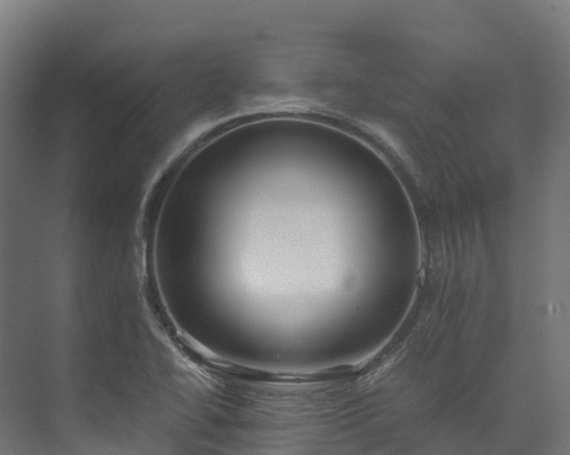 X0000073531414200608071136