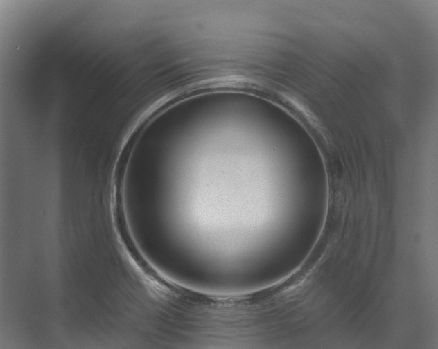 X0000073531418200608071136