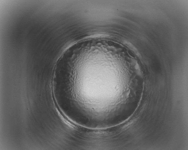 X0000073531425200608071136