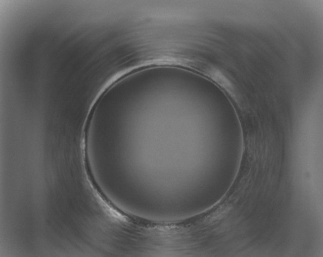 X0000073531428200608071136