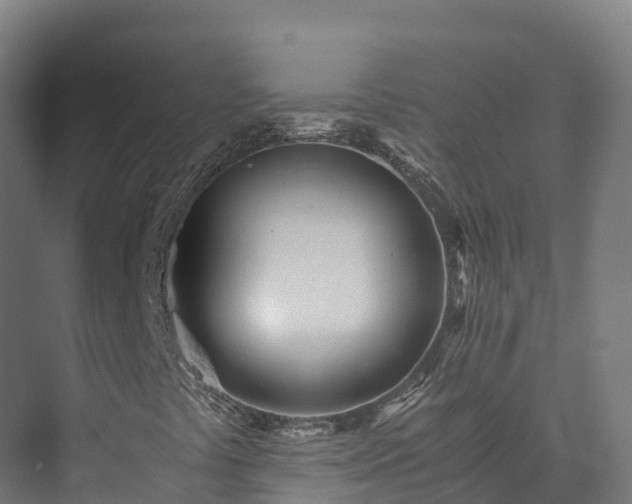 X0000073531441200608071135