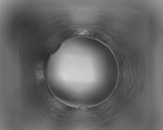 X0000073531442200608071135