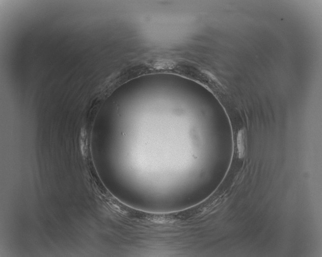 X0000073531443200608071135