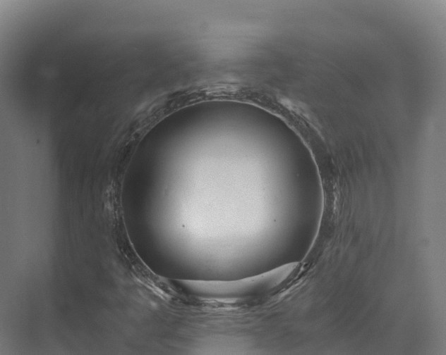 X0000073531445200608071135