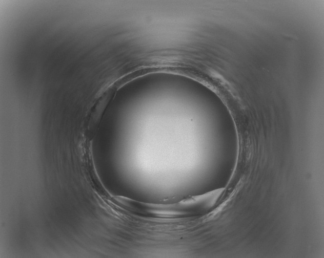X0000073531449200608071135