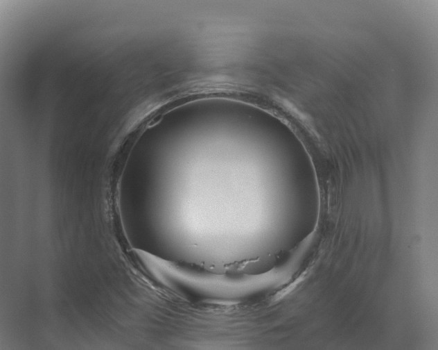 X0000073531453200608071135