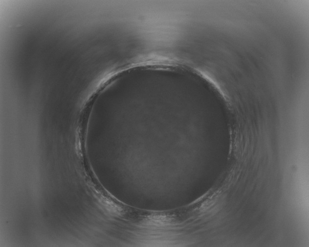 X0000073531455200608071135