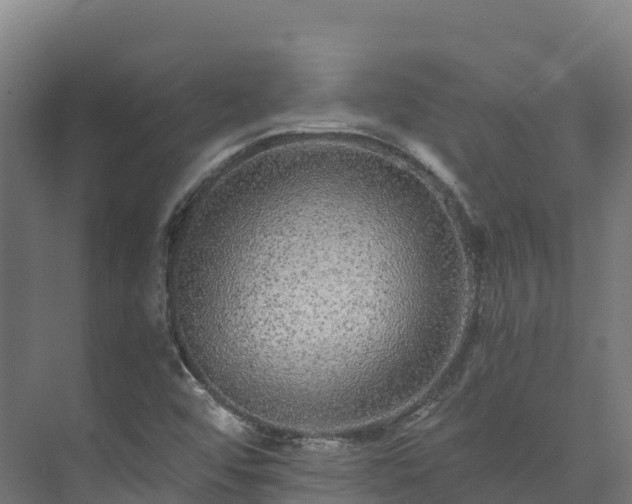 X0000073531456200608071135