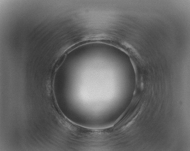 X0000073531457200608071135