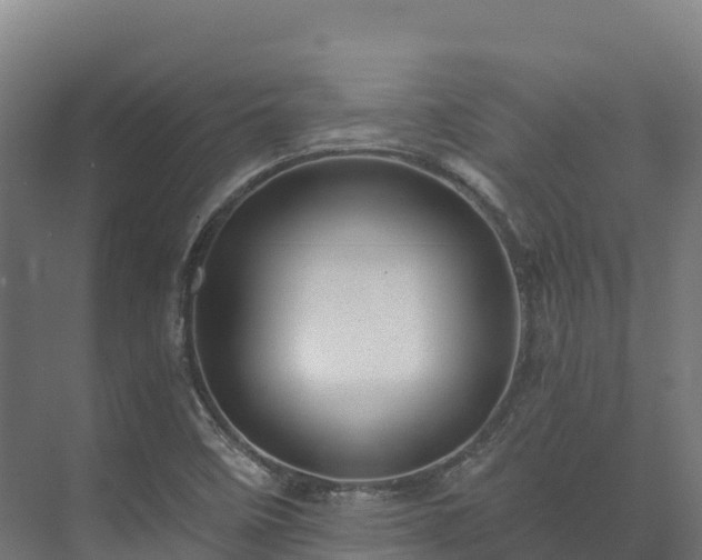 X0000073531458200608071135