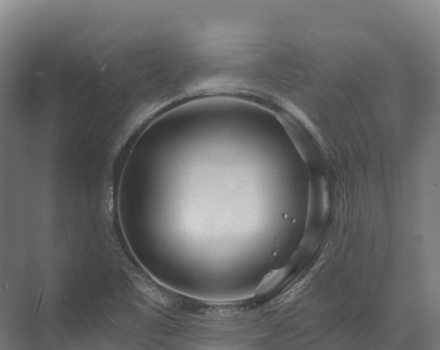 X0000073531461200608071135