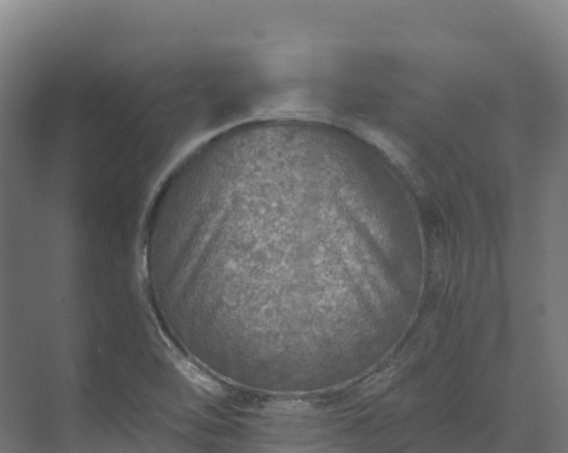X0000073531462200608071135