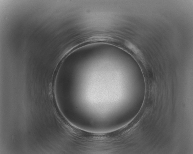 X0000073531465200608071135