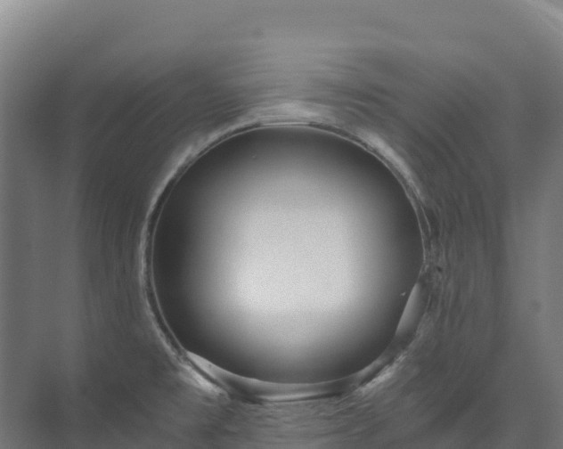 X0000073531477200608071135