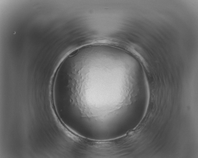 X0000073531483200608071134