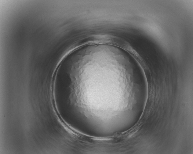X0000073531487200608071134