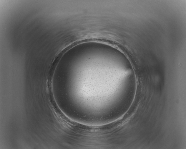 X0000073531497200608071134