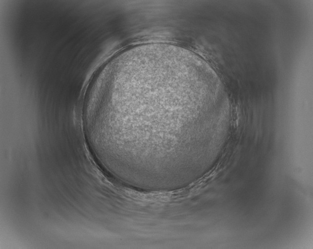 X0000073530004200608141038